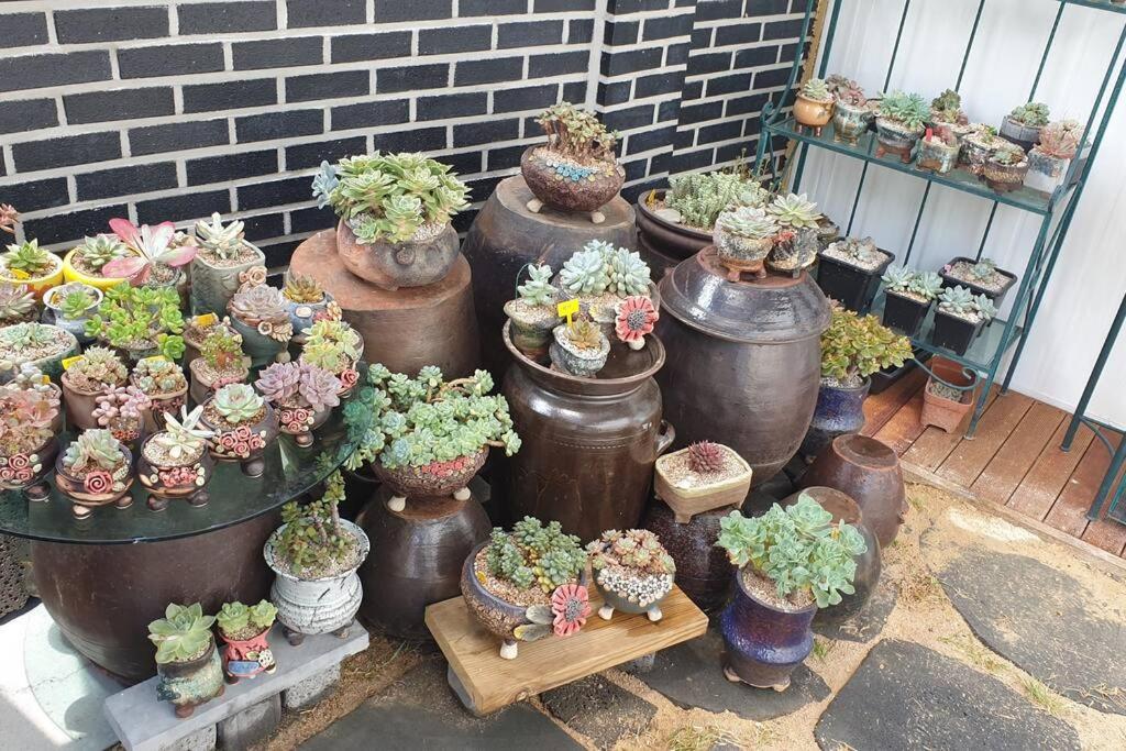 Gyeongju Sugi'S Guesthouse ภายนอก รูปภาพ